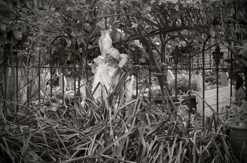 A corner of Dad's garden